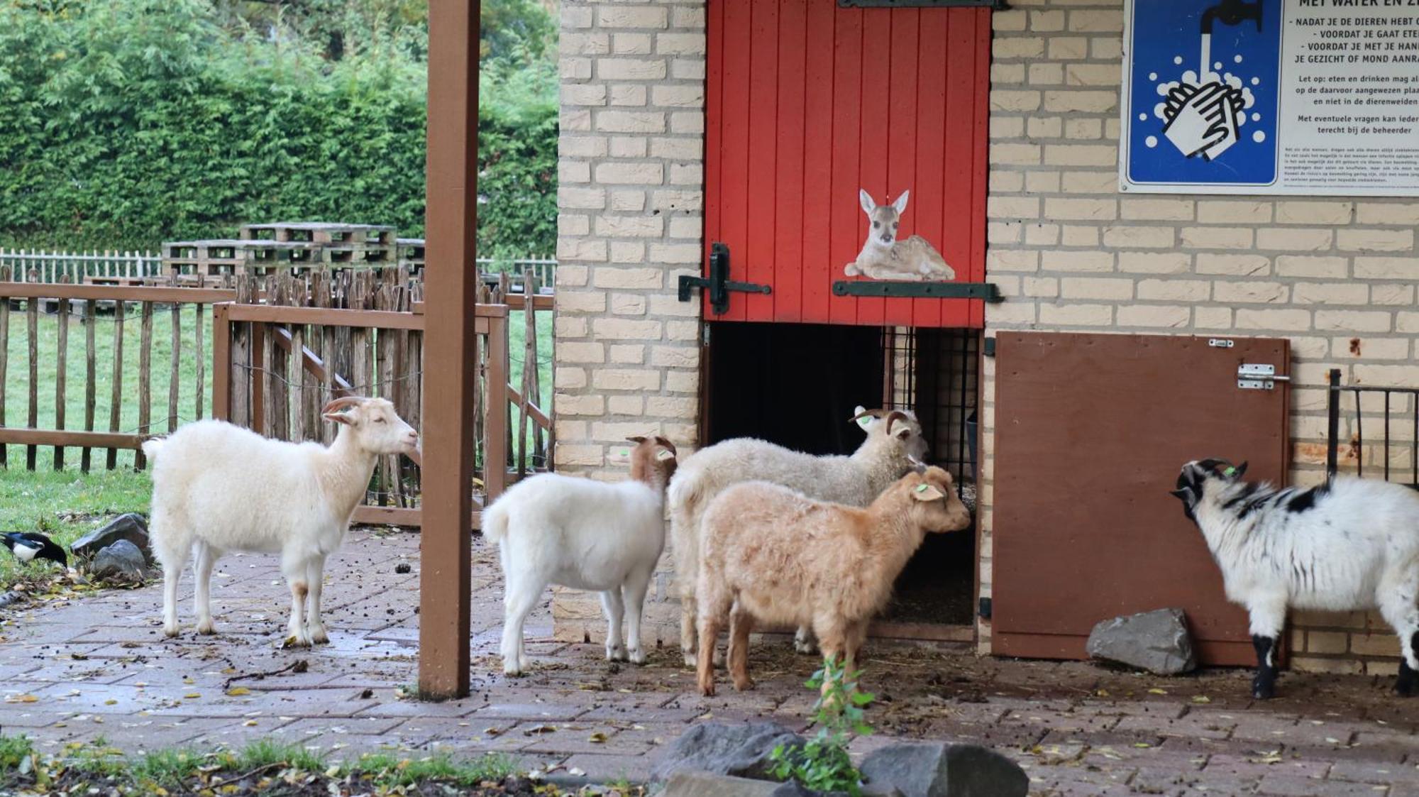 Het Huys Ewijk Mooi Luxe En Een Laadpaal Dış mekan fotoğraf